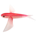Fishing Lure Bait Sea Fishing Big Fish Flying Fish Soft Bait Tuna Lures Pink Trolling Bird Shaped Teaser for Fishing Tackle The jack market .AU The jack market .AU Fishing Gear $ 23 14:10#Red