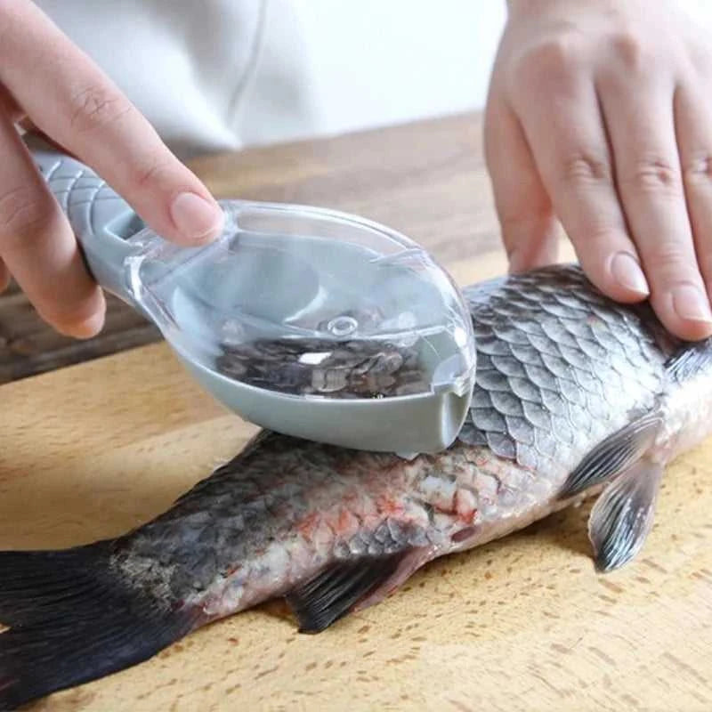 Fish Scale Scraper Fish Skin Brush Seafood Tools Fast Remove Fish Scraper Cleaning Knife Kitchen Accessories The jack market .AU The jack market .AU Fishing Gear $ 23 14:175#Green